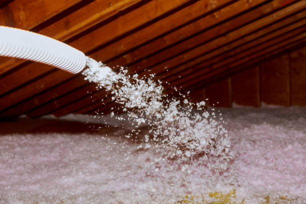 Best Wall Insulation Contractor  in Johnsonburg, PA
