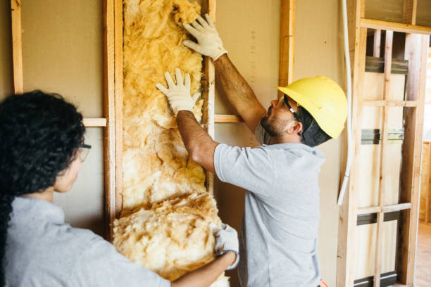 Best Insulation Repair Services  in Johnsonburg, PA
