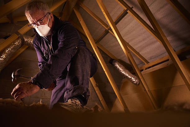 Best Insulation Removal  in Johnsonburg, PA