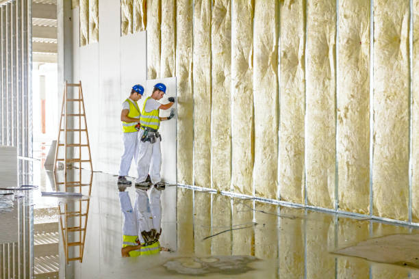 Best Attic Insulation Installation  in Johnsonburg, PA